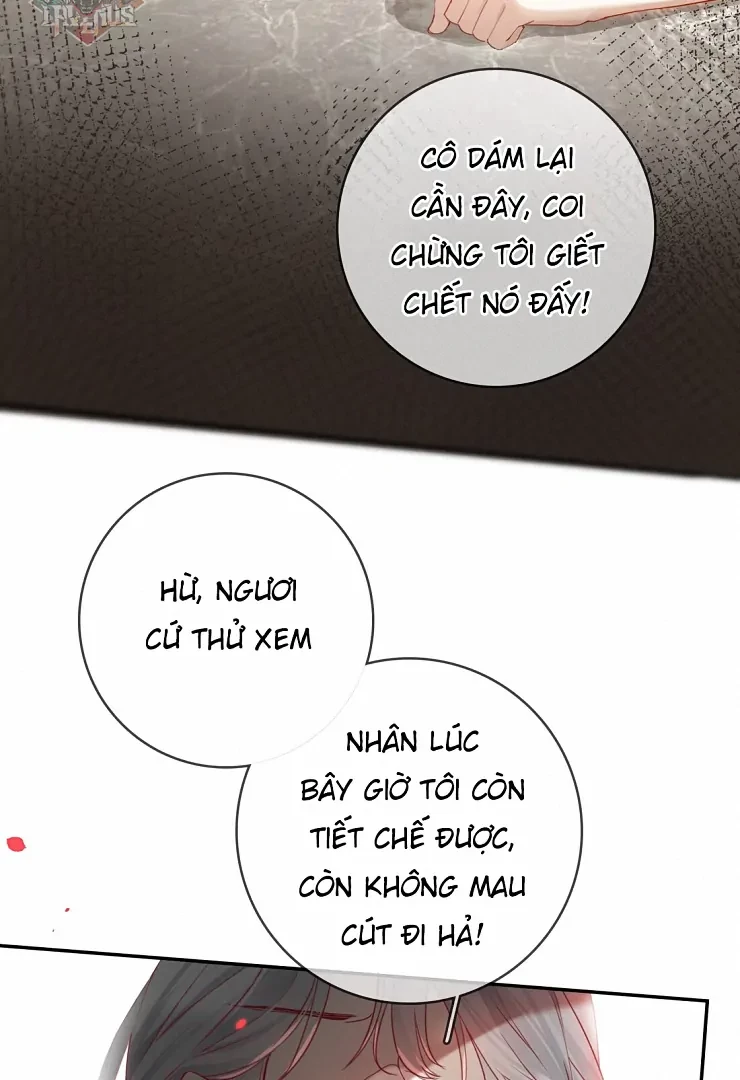 Sói Tiểu Thư Và Em Gái Hồ Ly Của Tôi Chapter 11 - 28