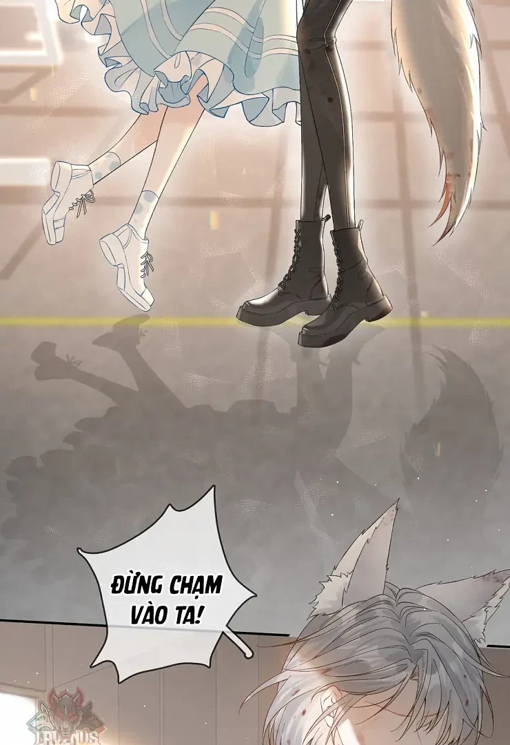 Sói Tiểu Thư Và Em Gái Hồ Ly Của Tôi Chapter 11 - 32