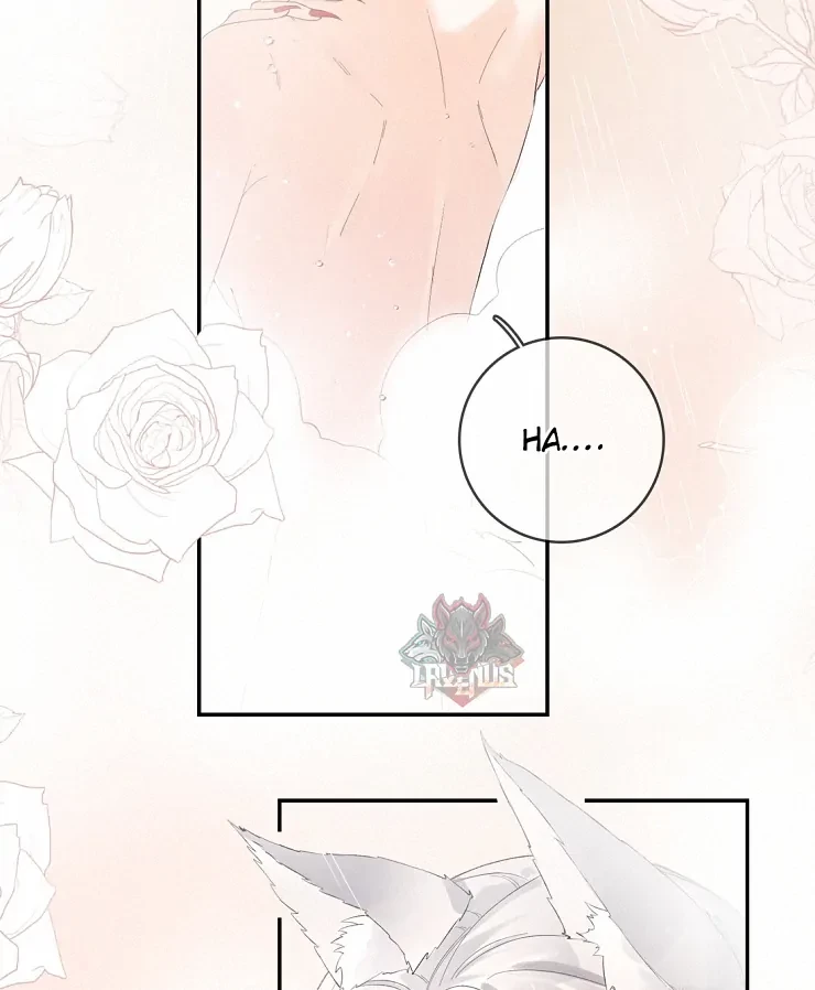 Sói Tiểu Thư Và Em Gái Hồ Ly Của Tôi Chapter 11 - 38