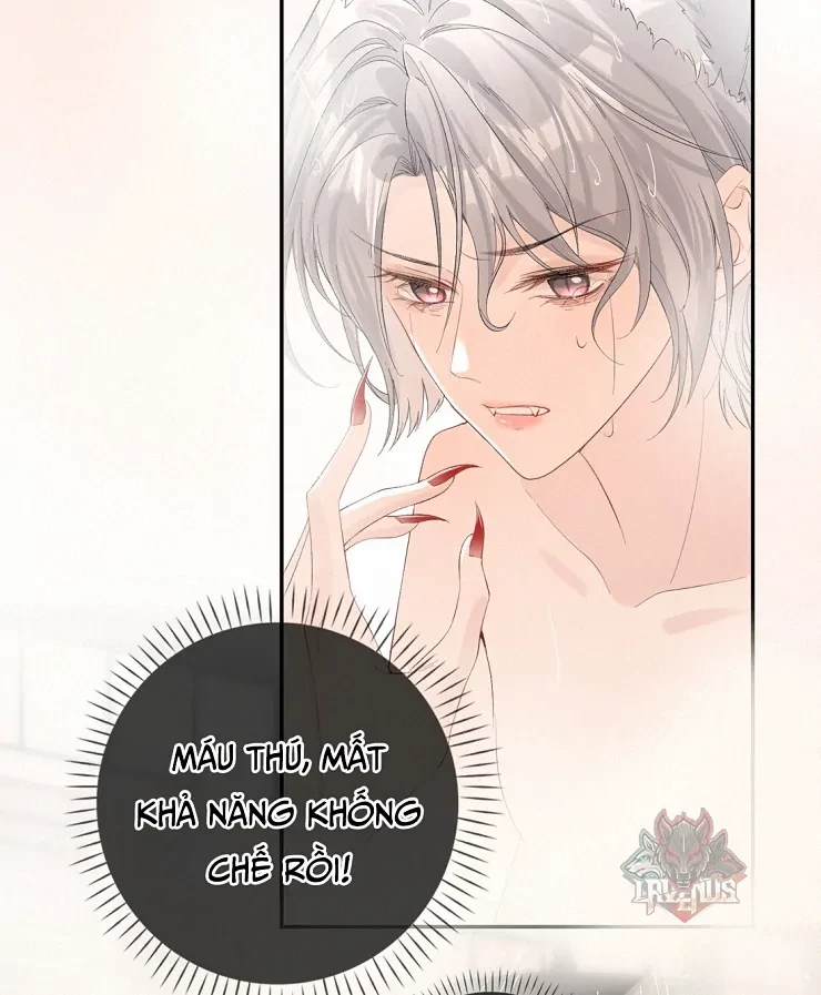 Sói Tiểu Thư Và Em Gái Hồ Ly Của Tôi Chapter 11 - 39