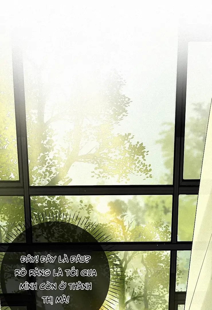 Sói Tiểu Thư Và Em Gái Hồ Ly Của Tôi Chapter 13 - 38