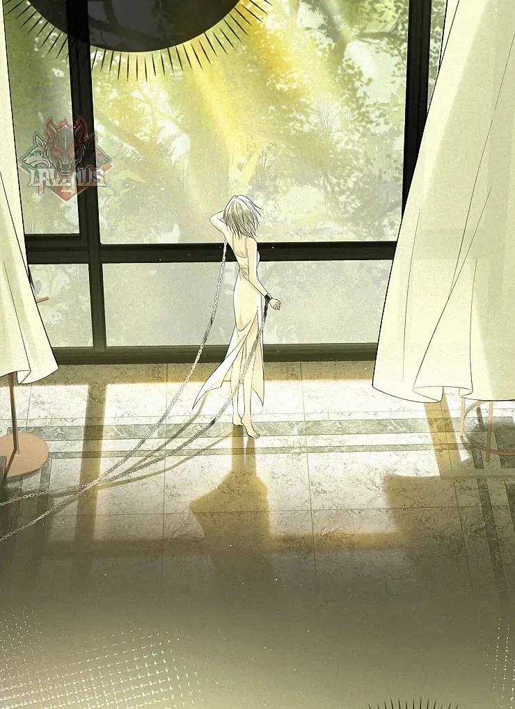 Sói Tiểu Thư Và Em Gái Hồ Ly Của Tôi Chapter 13 - 39