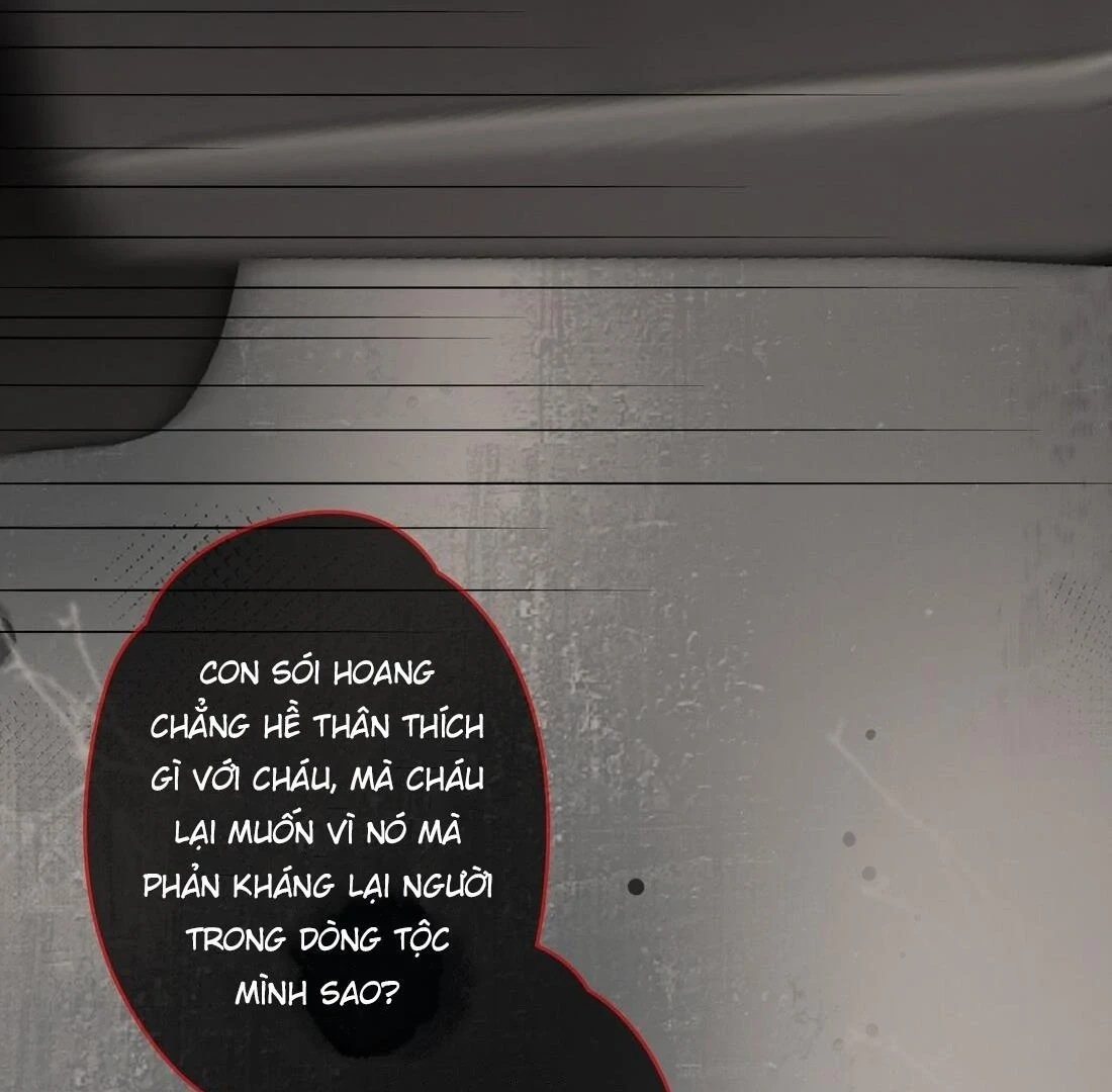 Sói Tiểu Thư Và Em Gái Hồ Ly Của Tôi Chapter 14 - 25