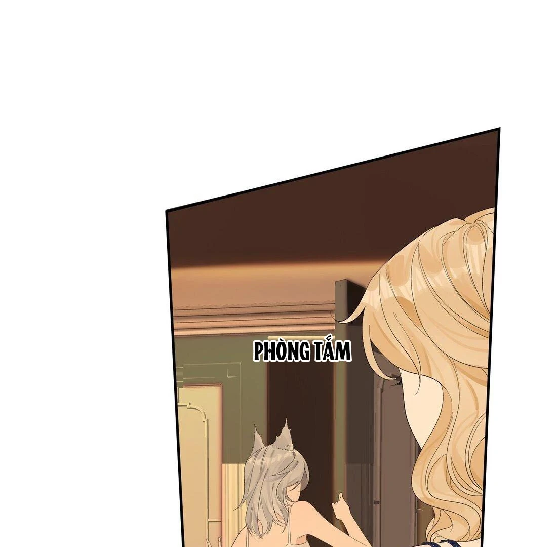 Sói Tiểu Thư Và Em Gái Hồ Ly Của Tôi Chapter 15 - 56