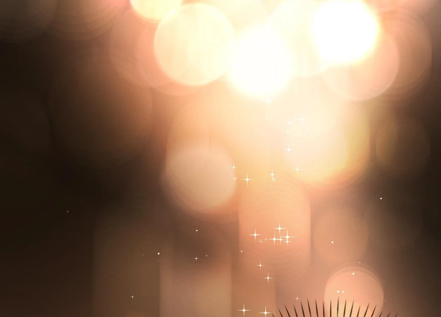 Sói Tiểu Thư Và Em Gái Hồ Ly Của Tôi Chapter 17 - 25