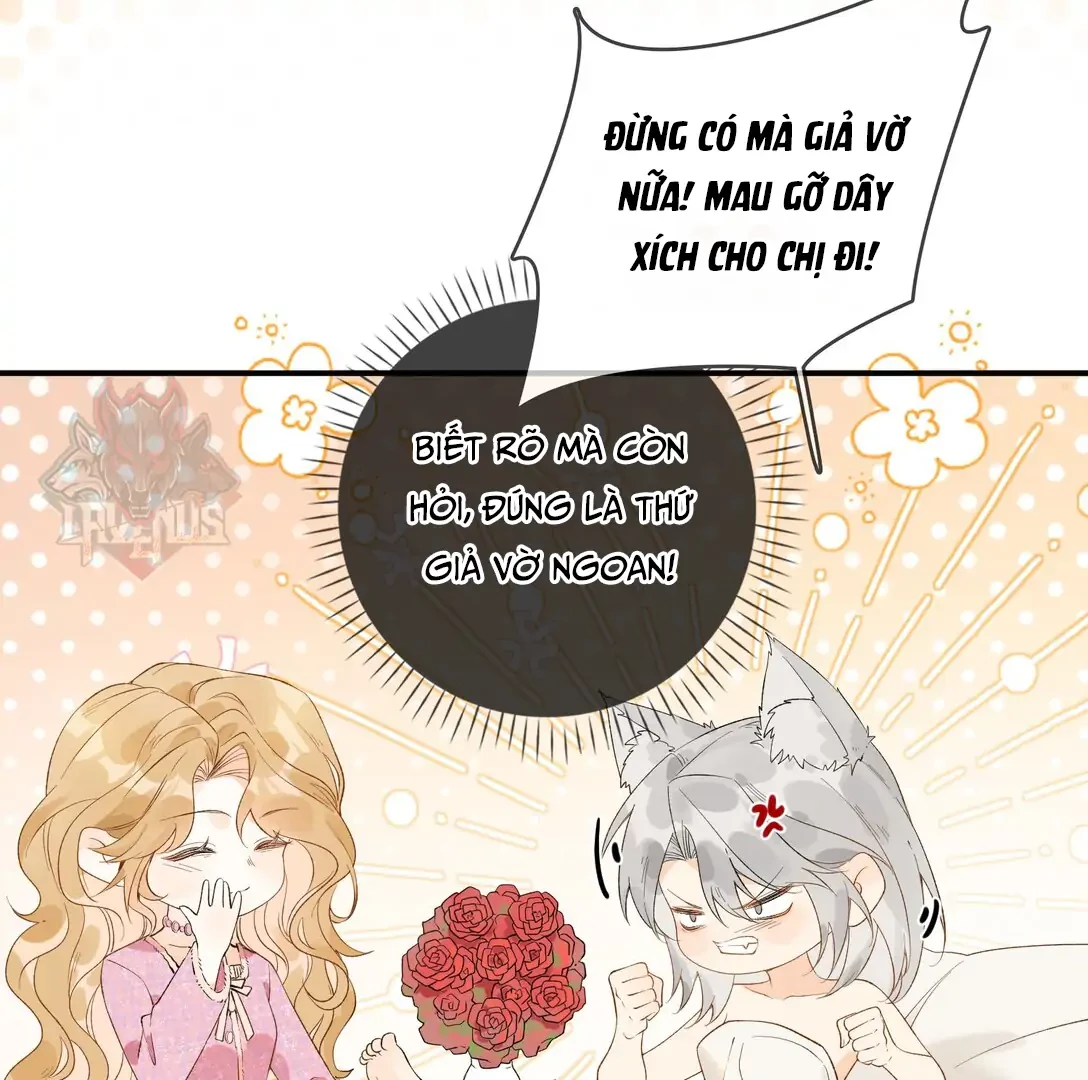 Sói Tiểu Thư Và Em Gái Hồ Ly Của Tôi Chapter 18 - 8