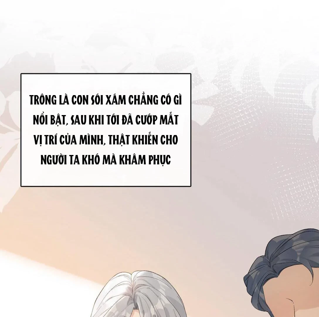 Sói Tiểu Thư Và Em Gái Hồ Ly Của Tôi Chapter 19 - 14