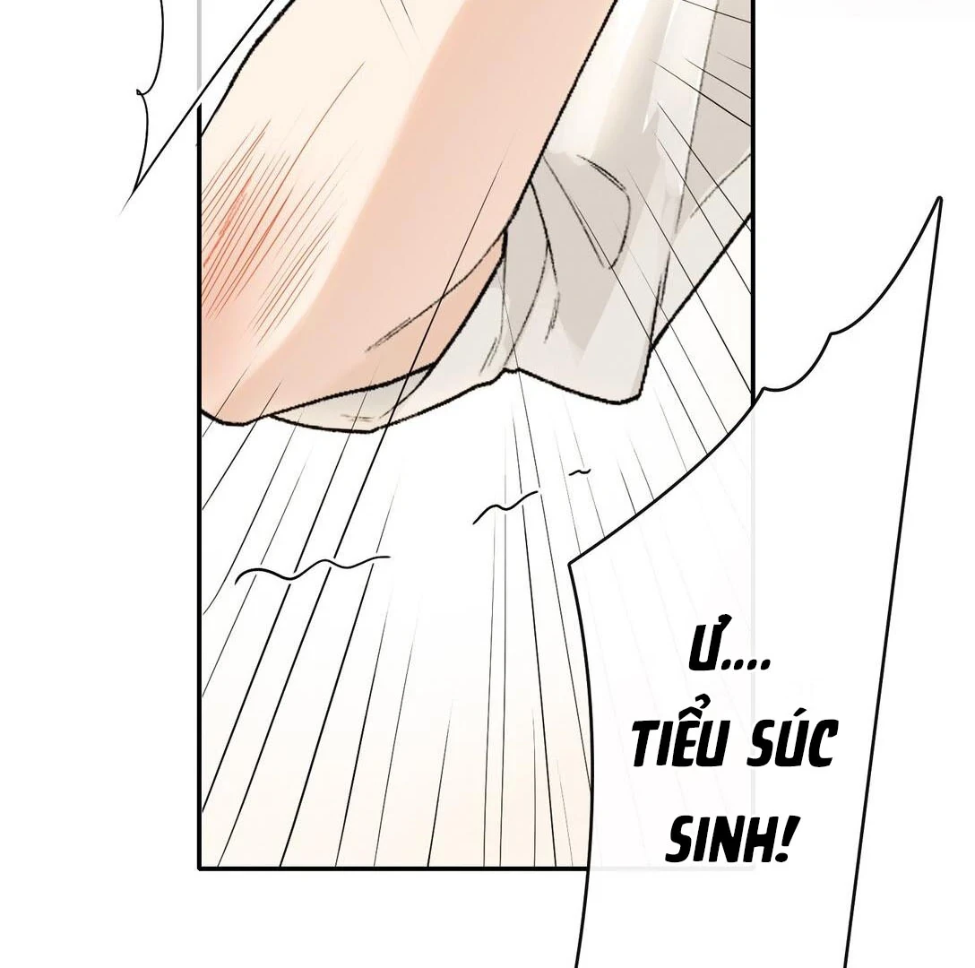 Sói Tiểu Thư Và Em Gái Hồ Ly Của Tôi Chapter 20 - 4