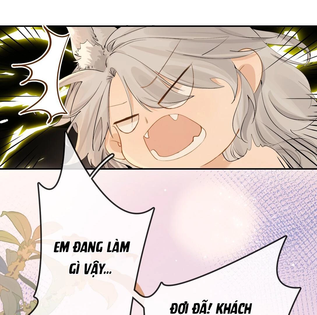 Sói Tiểu Thư Và Em Gái Hồ Ly Của Tôi Chapter 23 - 47