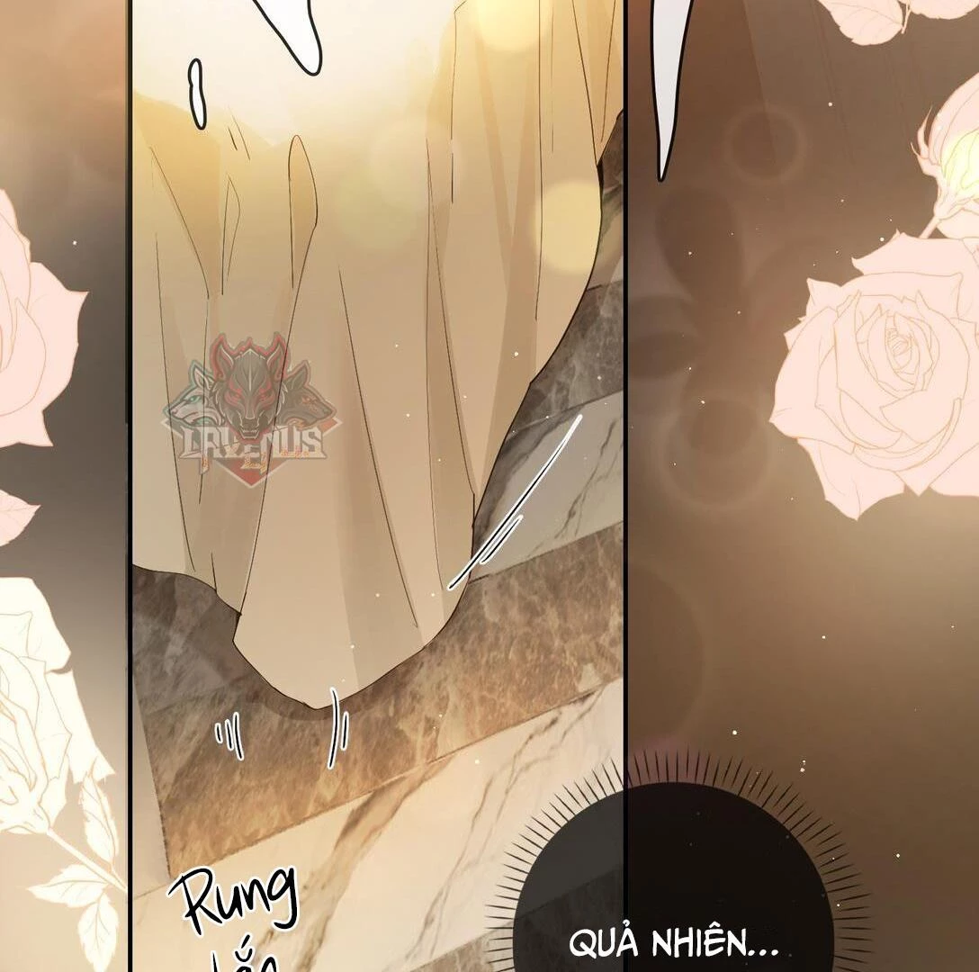 Sói Tiểu Thư Và Em Gái Hồ Ly Của Tôi Chapter 24 - 3