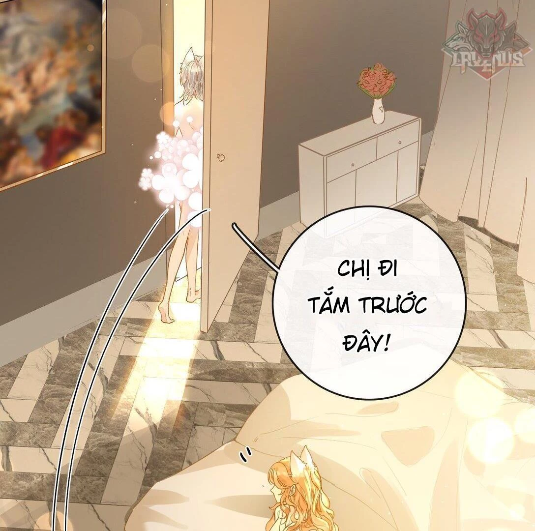 Sói Tiểu Thư Và Em Gái Hồ Ly Của Tôi Chapter 24 - 22