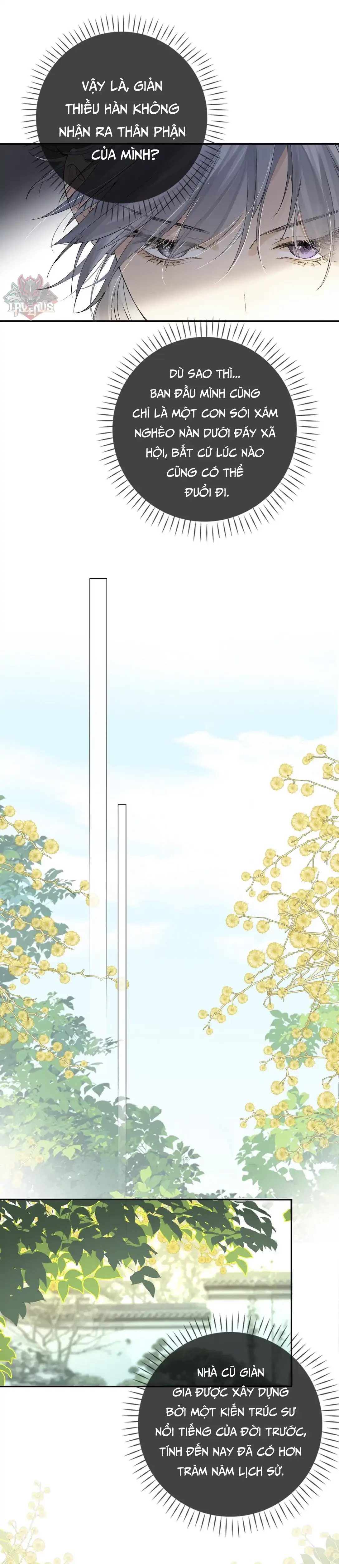 Sói Tiểu Thư Và Em Gái Hồ Ly Của Tôi Chapter 26 - 24