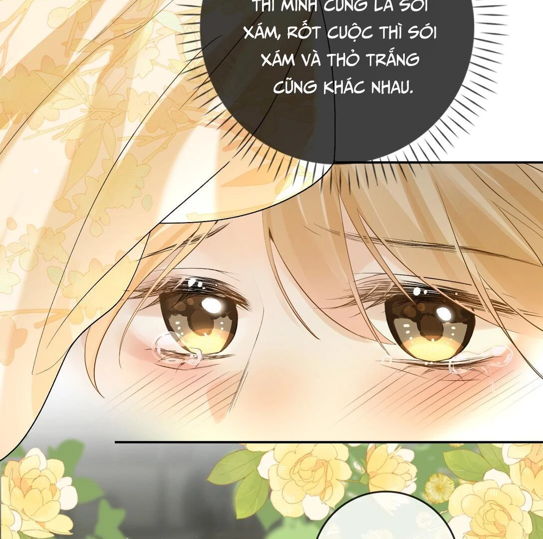 Sói Tiểu Thư Và Em Gái Hồ Ly Của Tôi Chapter 27 - 17