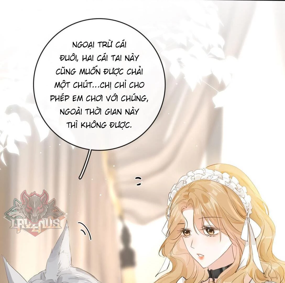 Sói Tiểu Thư Và Em Gái Hồ Ly Của Tôi Chapter 31 - 4