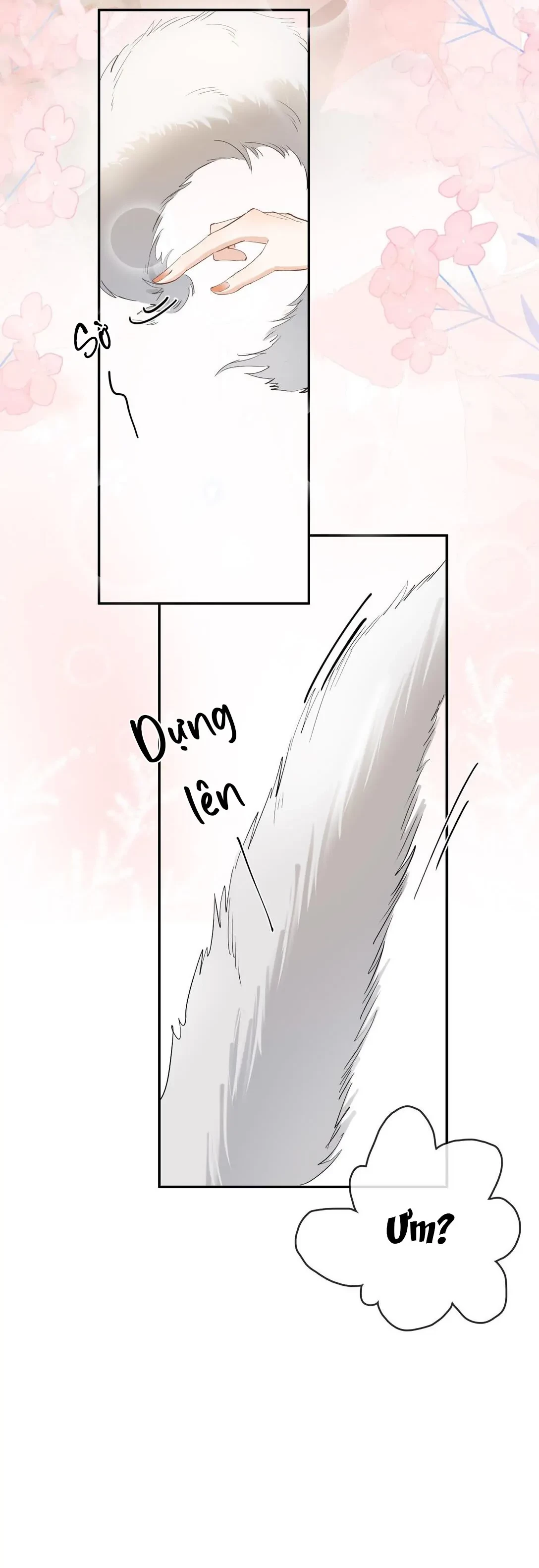 Sói Tiểu Thư Và Em Gái Hồ Ly Của Tôi Chapter 31 - 10