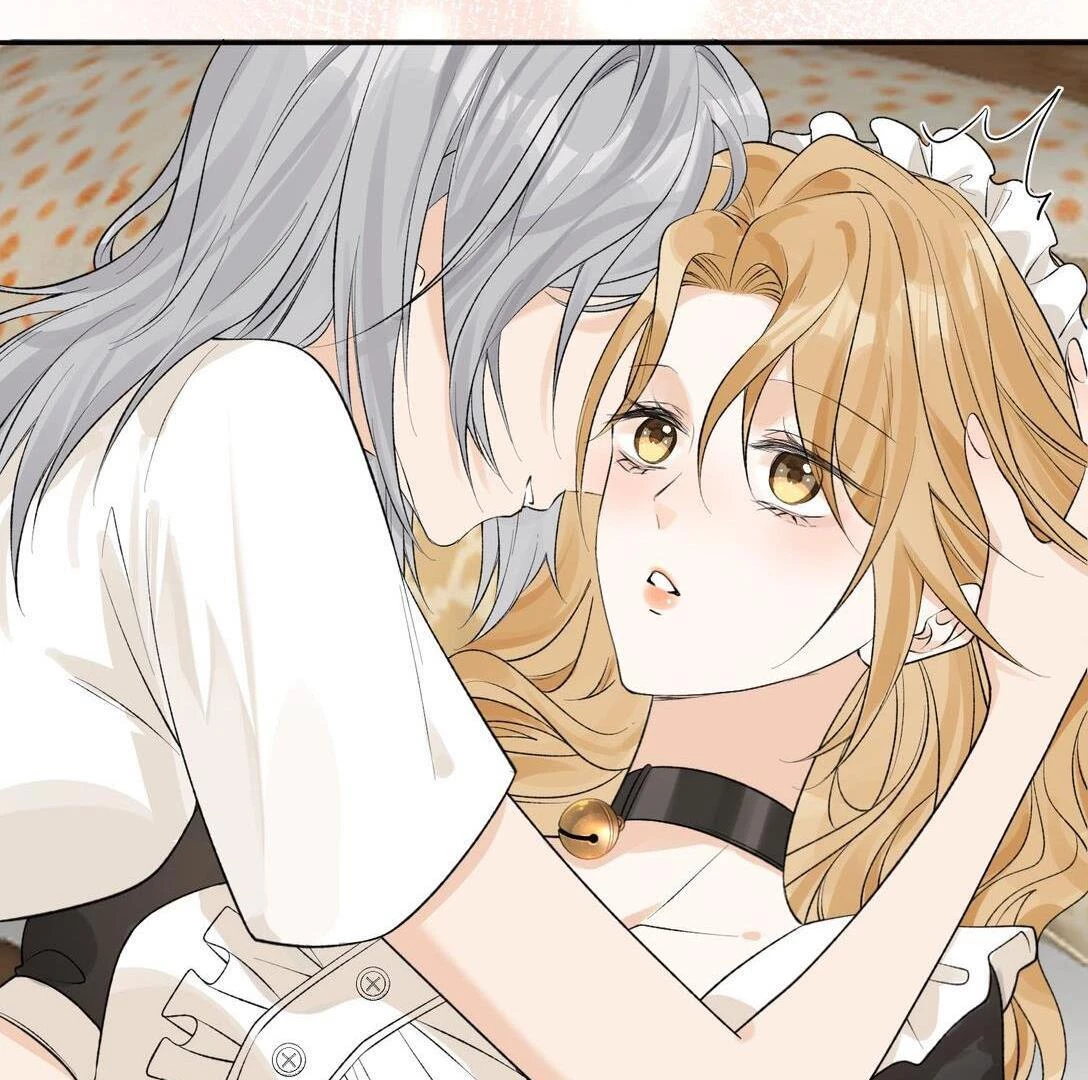 Sói Tiểu Thư Và Em Gái Hồ Ly Của Tôi Chapter 31 - 17