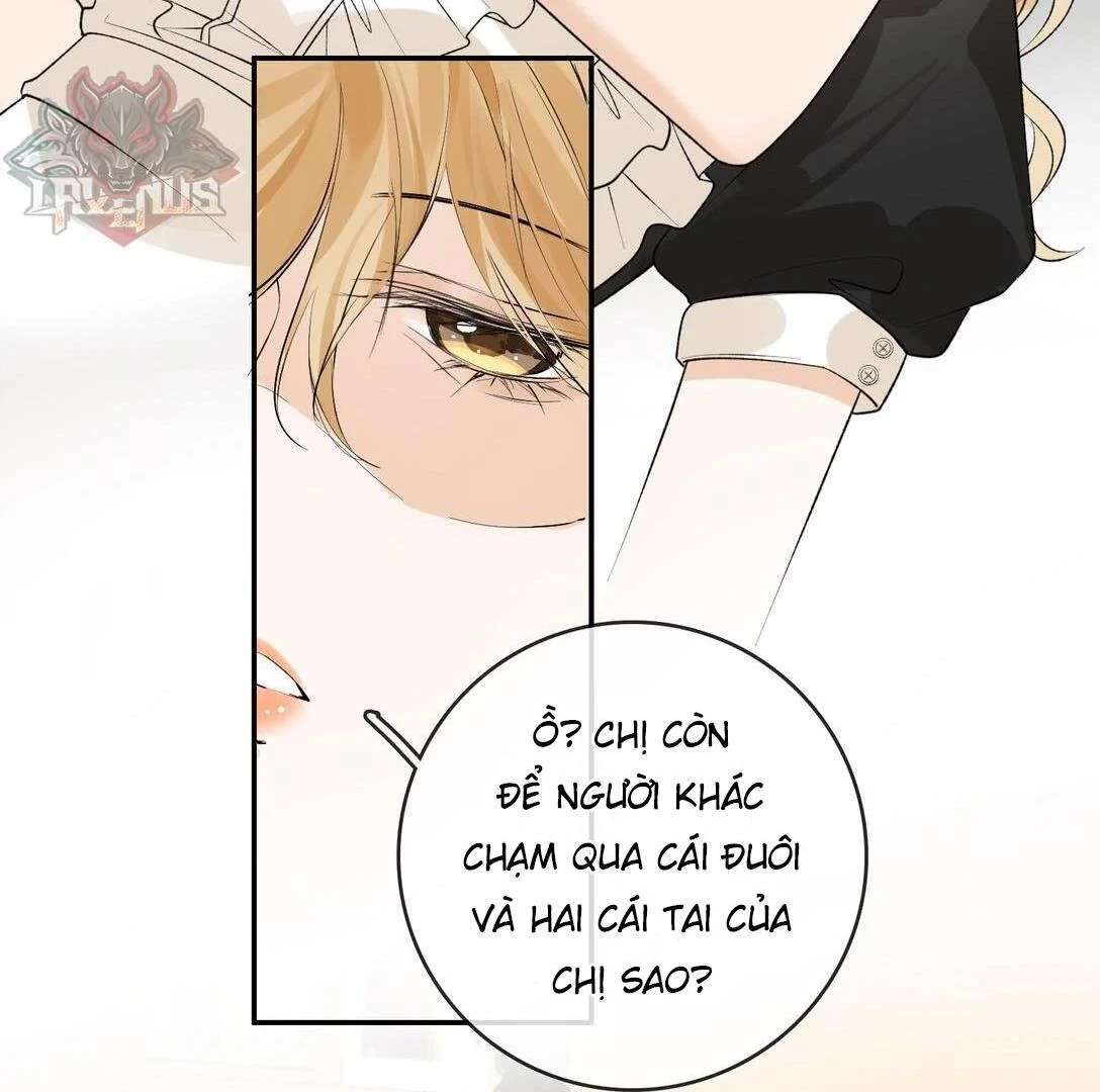 Sói Tiểu Thư Và Em Gái Hồ Ly Của Tôi Chapter 31 - 18