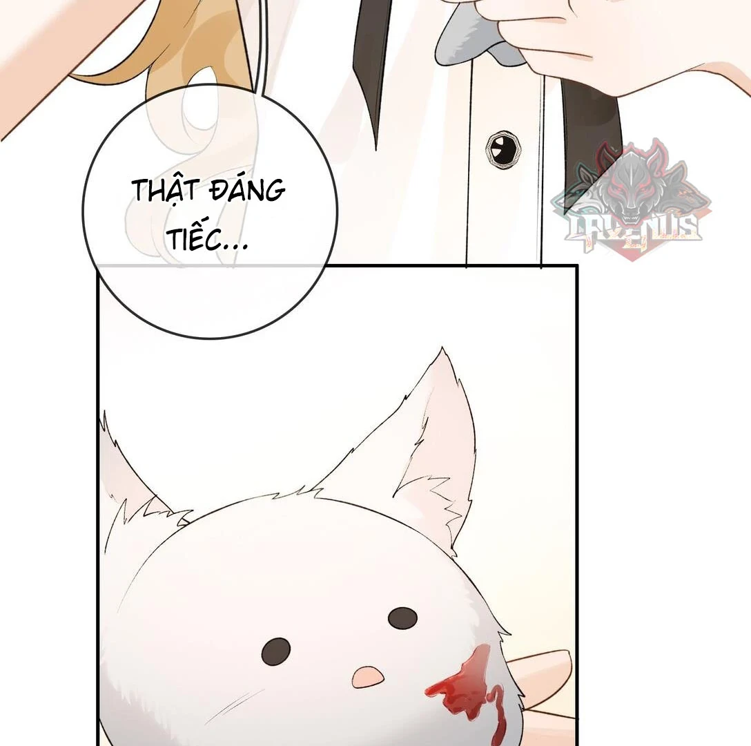 Sói Tiểu Thư Và Em Gái Hồ Ly Của Tôi Chapter 31 - 27