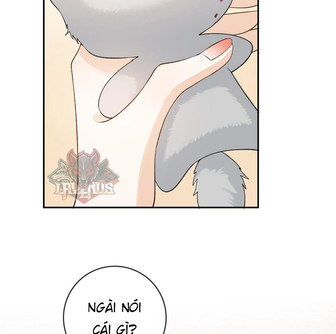 Sói Tiểu Thư Và Em Gái Hồ Ly Của Tôi Chapter 31 - 28