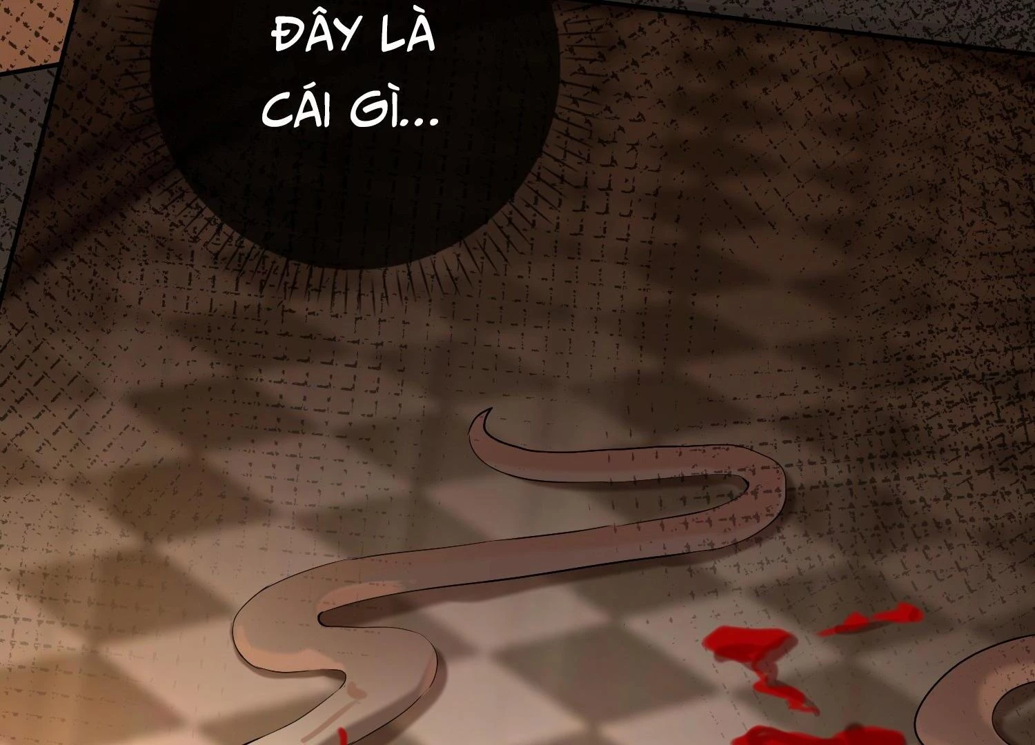 Sói Tiểu Thư Và Em Gái Hồ Ly Của Tôi Chapter 32 - 56