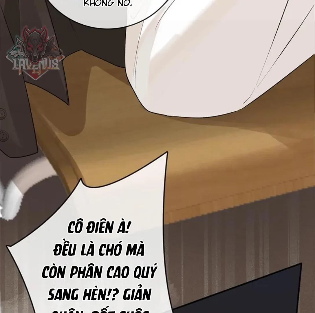 Sói Tiểu Thư Và Em Gái Hồ Ly Của Tôi Chapter 35 - 33