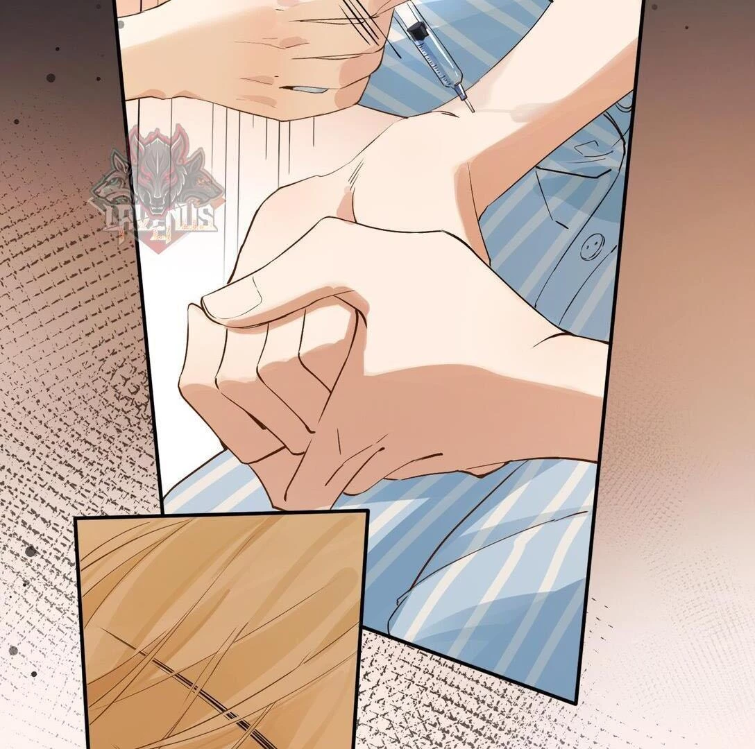 Sói Tiểu Thư Và Em Gái Hồ Ly Của Tôi Chapter 35 - 42