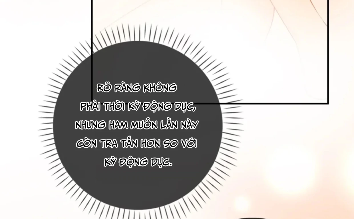 Sói Tiểu Thư Và Em Gái Hồ Ly Của Tôi Chapter 37 - 33