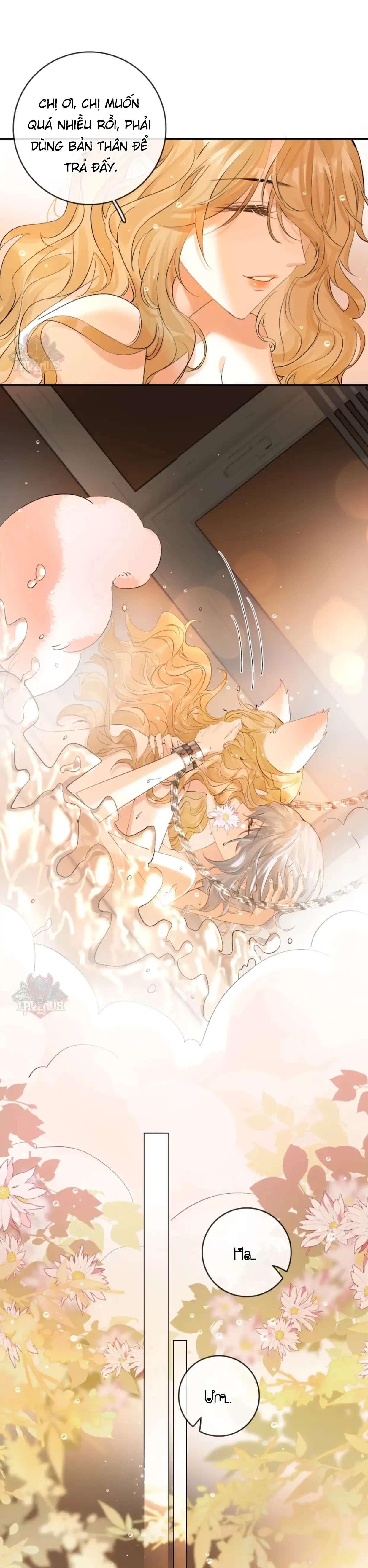 Sói Tiểu Thư Và Em Gái Hồ Ly Của Tôi Chapter 37 - 41