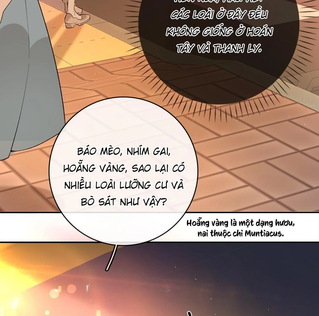 Sói Tiểu Thư Và Em Gái Hồ Ly Của Tôi Chapter 39 - 10