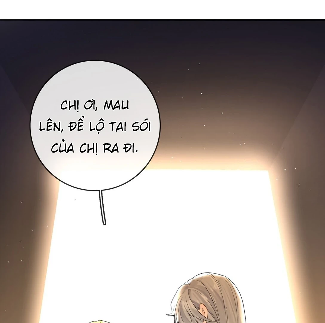 Sói Tiểu Thư Và Em Gái Hồ Ly Của Tôi Chapter 39 - 28