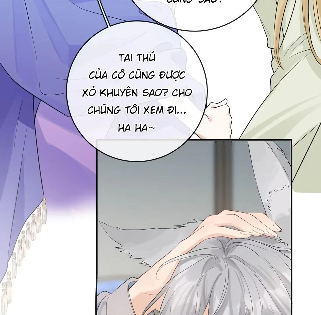 Sói Tiểu Thư Và Em Gái Hồ Ly Của Tôi Chapter 41 - 9