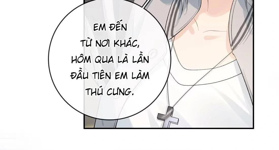 Sói Tiểu Thư Và Em Gái Hồ Ly Của Tôi Chapter 41 - 11