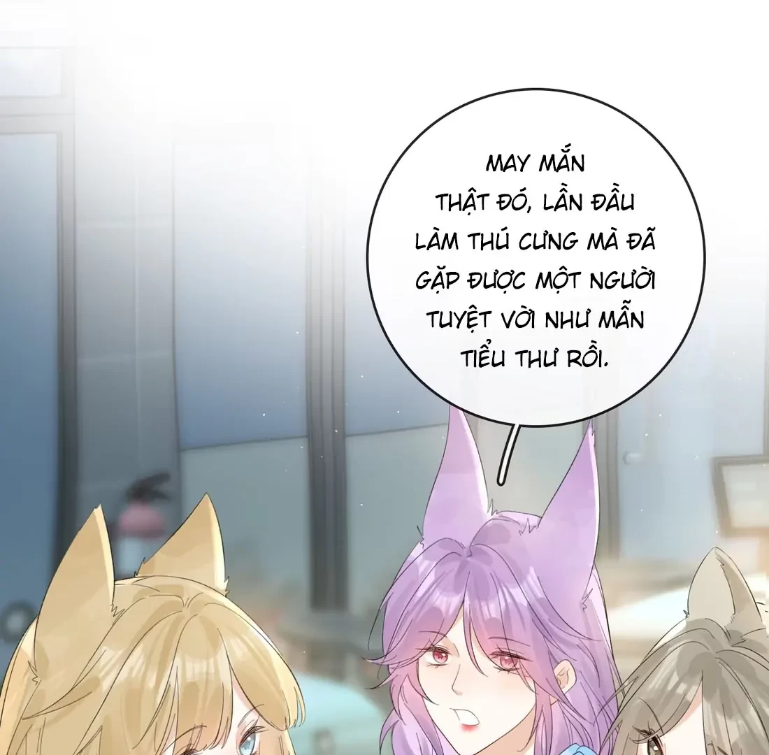 Sói Tiểu Thư Và Em Gái Hồ Ly Của Tôi Chapter 41 - 12