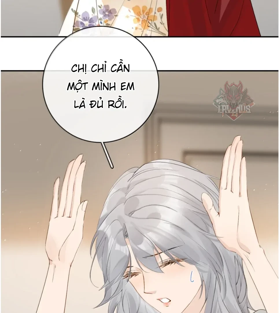 Sói Tiểu Thư Và Em Gái Hồ Ly Của Tôi Chapter 43 - 11