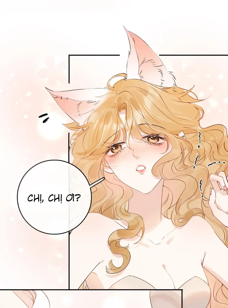 Sói Tiểu Thư Và Em Gái Hồ Ly Của Tôi Chapter 46 - 4