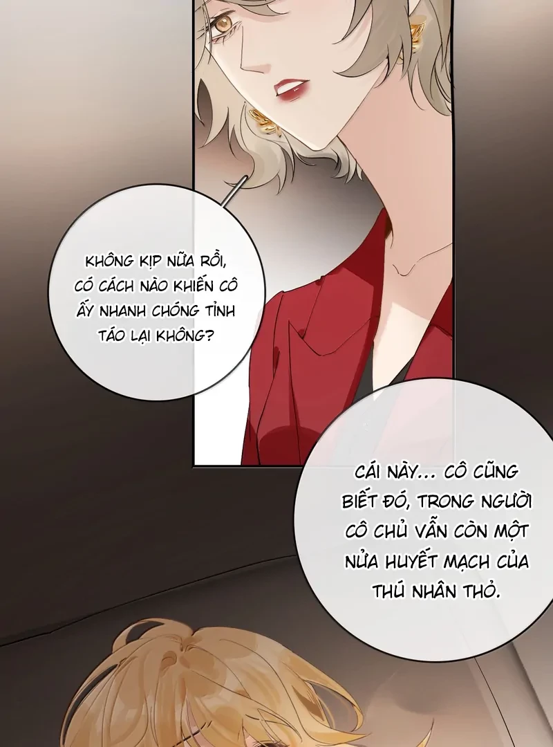 Sói Tiểu Thư Và Em Gái Hồ Ly Của Tôi Chapter 47 - 17
