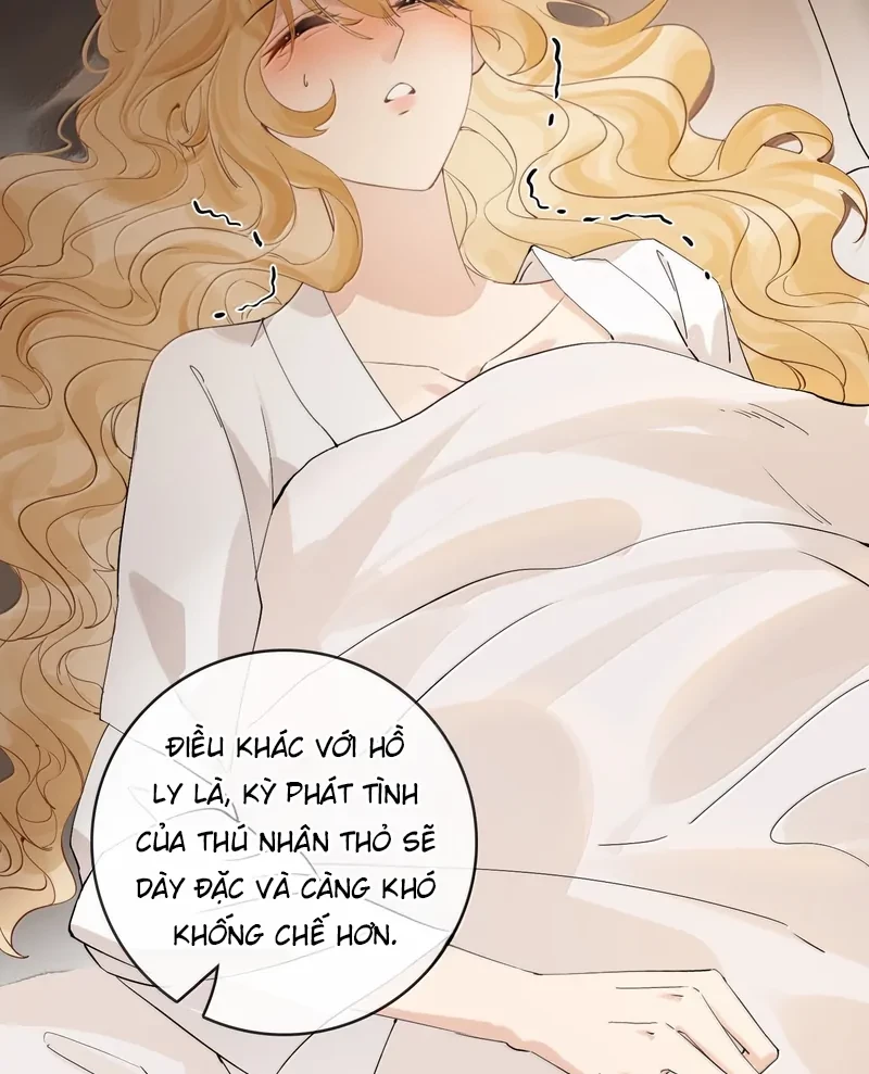 Sói Tiểu Thư Và Em Gái Hồ Ly Của Tôi Chapter 47 - 18