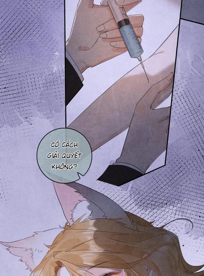 Sói Tiểu Thư Và Em Gái Hồ Ly Của Tôi Chapter 53 - 14