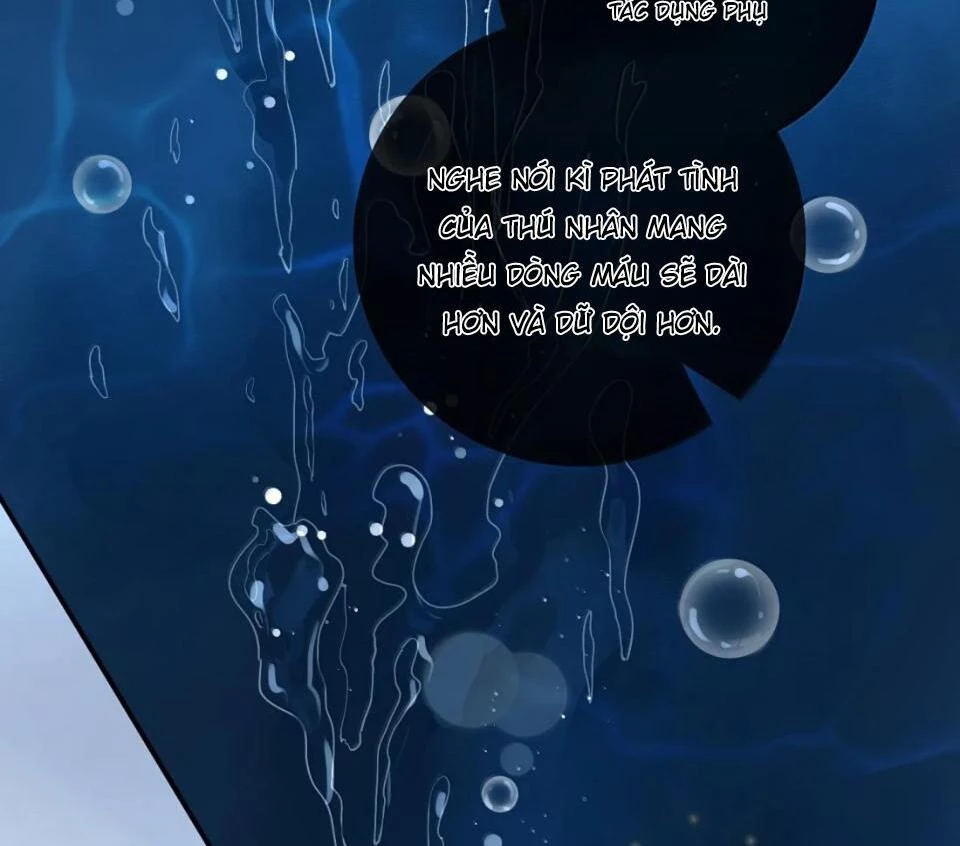 Sói Tiểu Thư Và Em Gái Hồ Ly Của Tôi Chapter 59 - 18