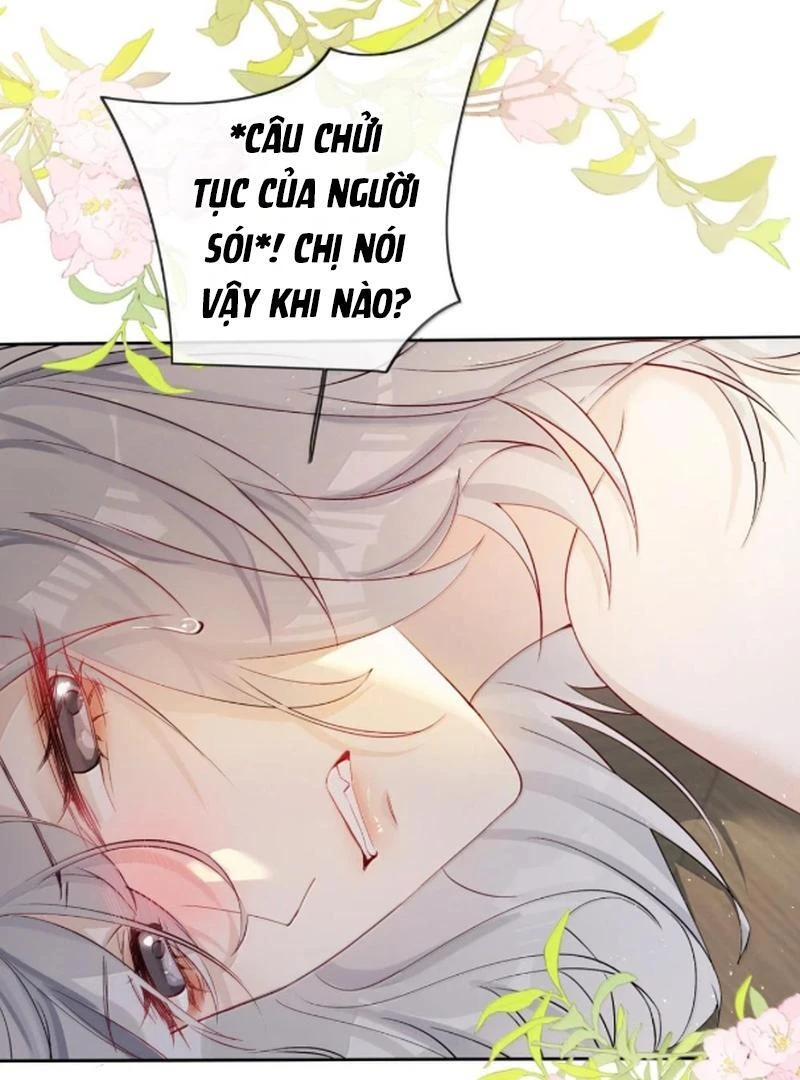 Sói Tiểu Thư Và Em Gái Hồ Ly Của Tôi Chapter 61 - 38