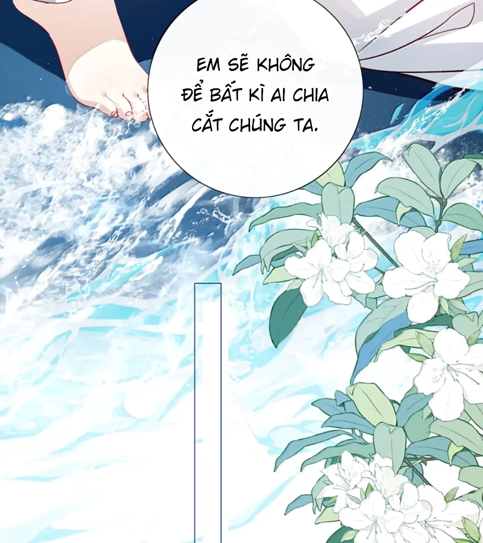 Sói Tiểu Thư Và Em Gái Hồ Ly Của Tôi Chapter 63 - 51