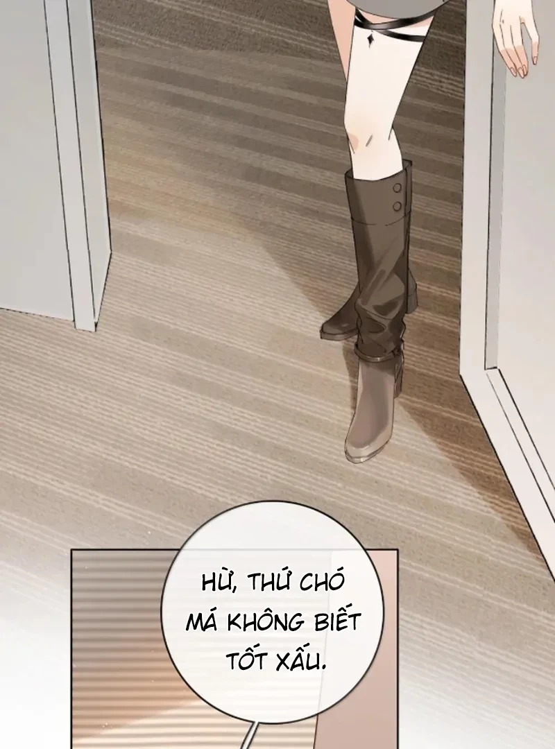 Sói Tiểu Thư Và Em Gái Hồ Ly Của Tôi Chapter 67 - 9