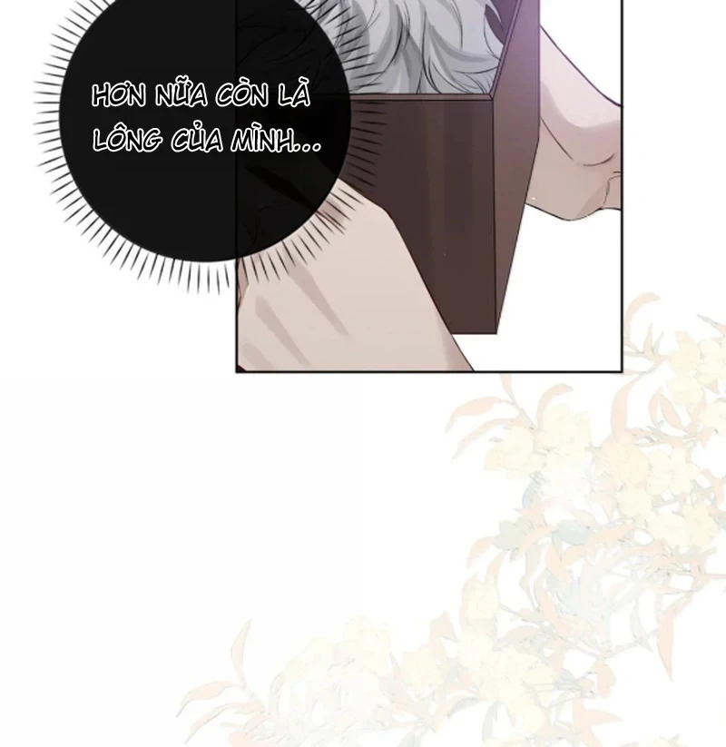 Sói Tiểu Thư Và Em Gái Hồ Ly Của Tôi Chapter 67 - 47