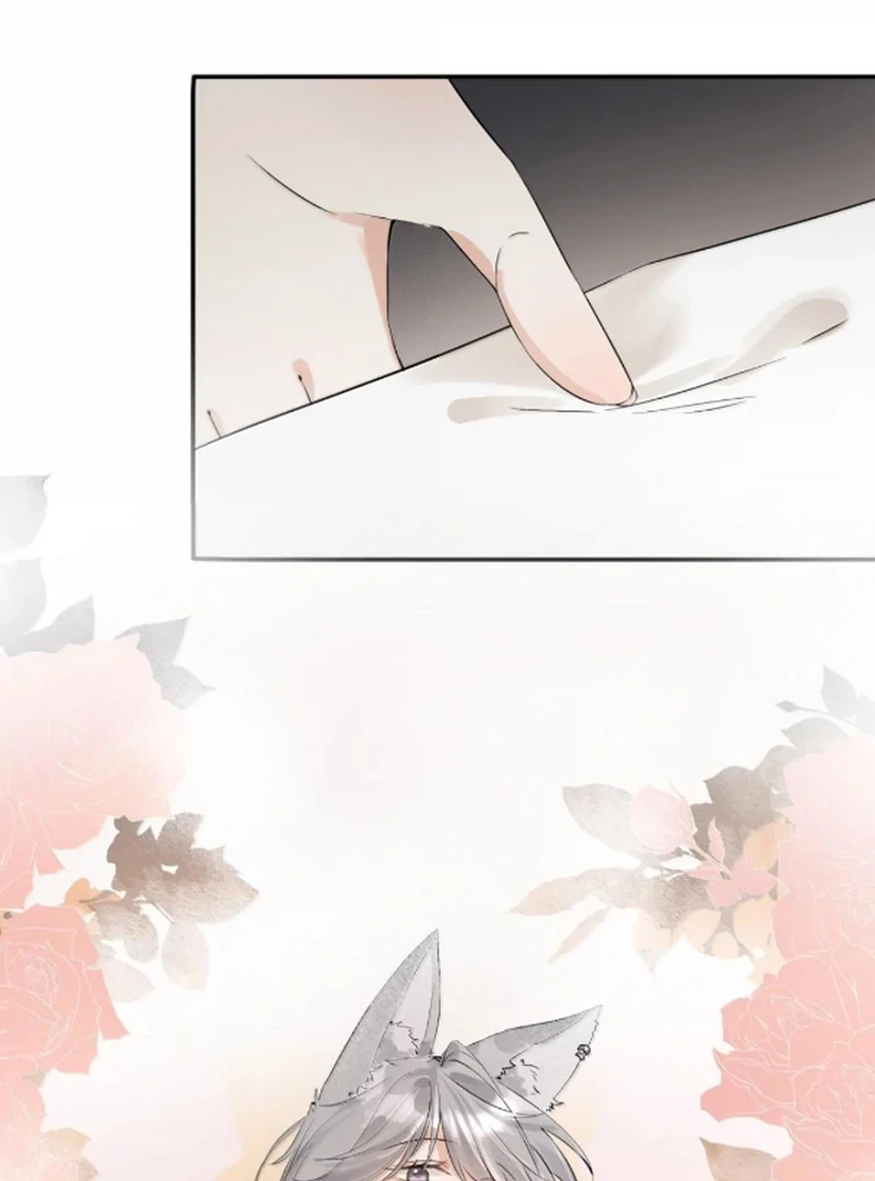 Sói Tiểu Thư Và Em Gái Hồ Ly Của Tôi Chapter 68 - 28