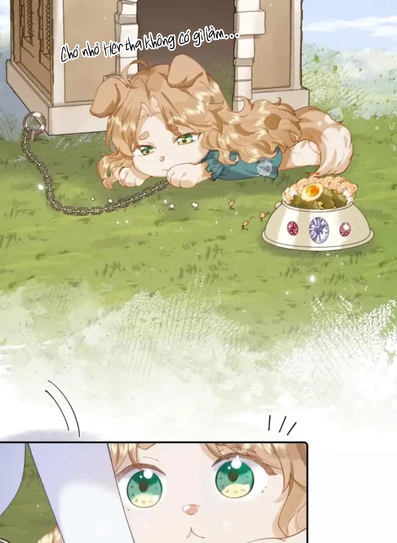 Phản Diện Gặp Kẻ Cuồng Yêu Chapter 60 - 43