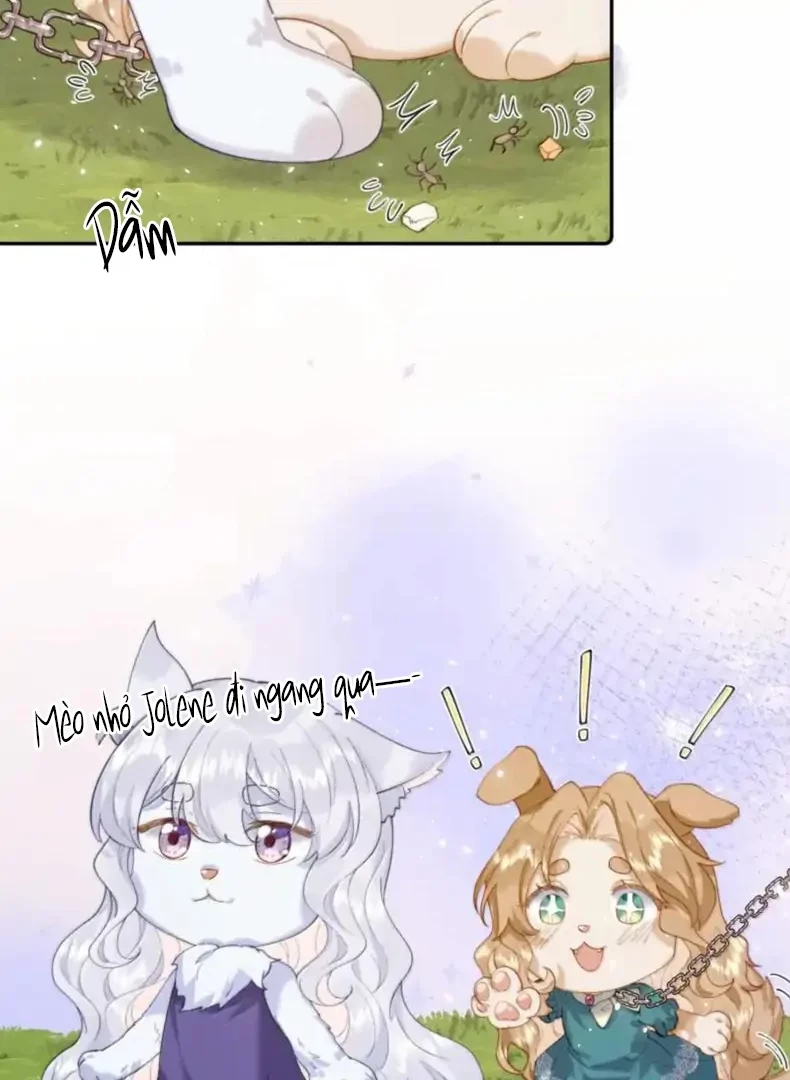 Phản Diện Gặp Kẻ Cuồng Yêu Chapter 60 - 44