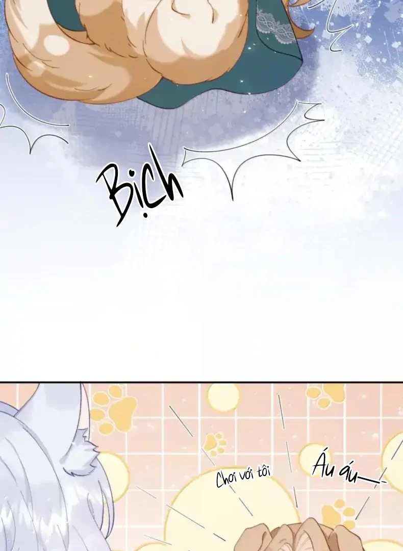 Phản Diện Gặp Kẻ Cuồng Yêu Chapter 60 - 47