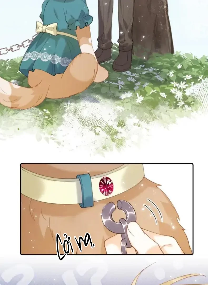 Phản Diện Gặp Kẻ Cuồng Yêu Chapter 60 - 50