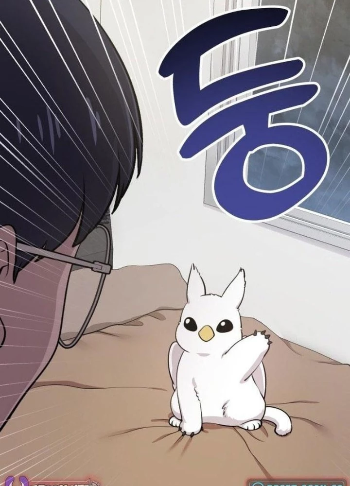 Chào Nhé, Griffin Mắt Tròn! Chapter 1 - 25