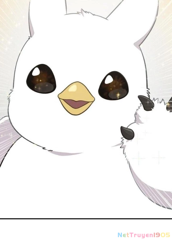 Chào Nhé, Griffin Mắt Tròn! Chapter 1 - 31